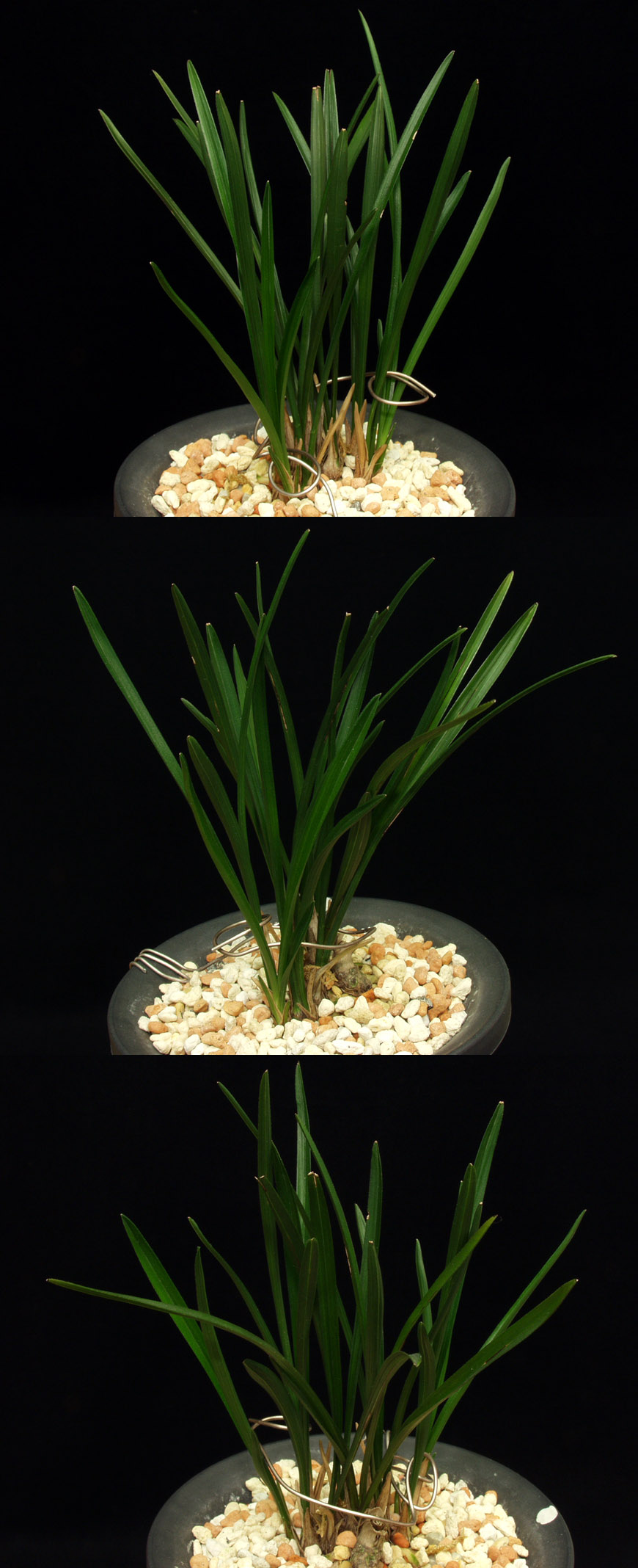 ������ ū������ �� �� �ֽ��ϴ�.