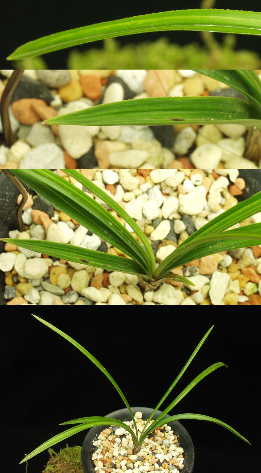 ������ ū������ �� �� �ֽ��ϴ�.