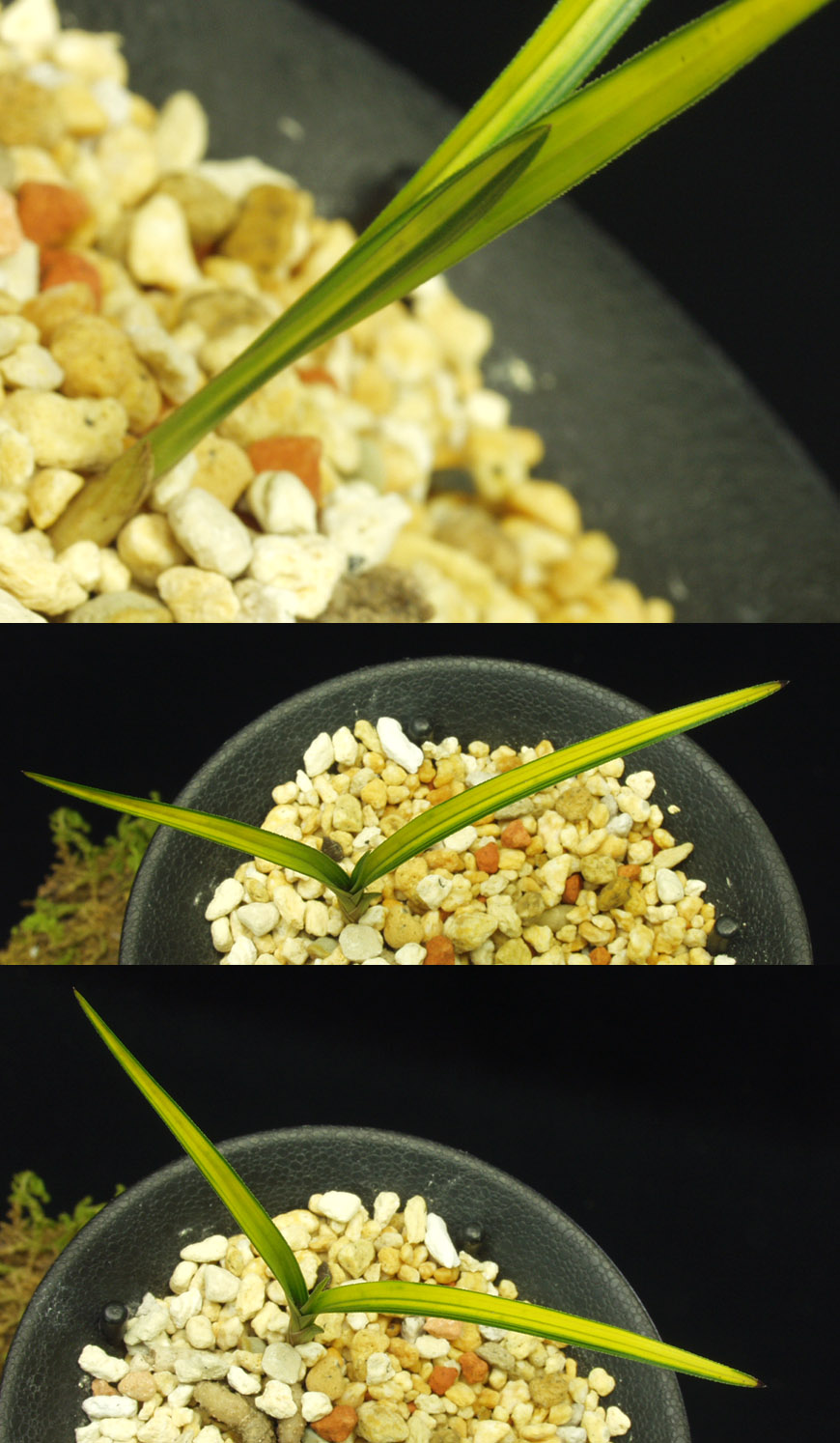 ������ ū������ �� �� �ֽ��ϴ�.