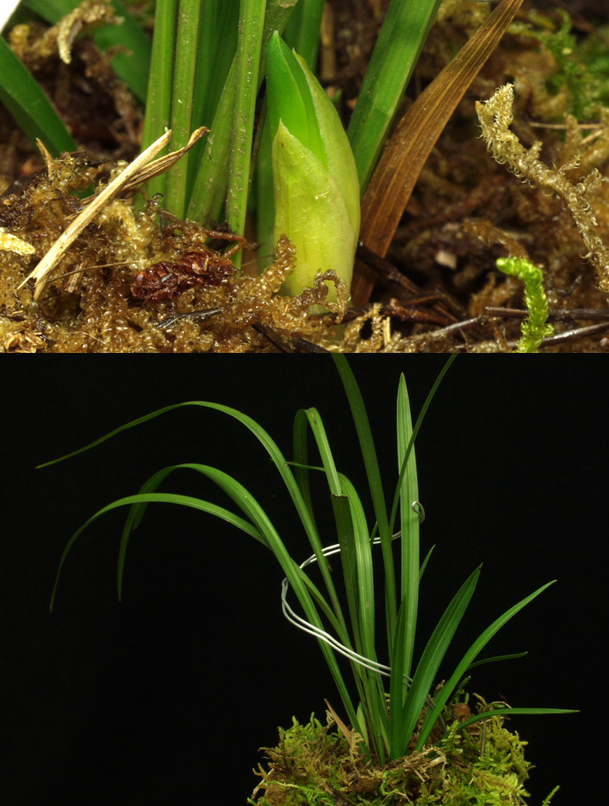 ������ ū������ �� �� �ֽ��ϴ�.