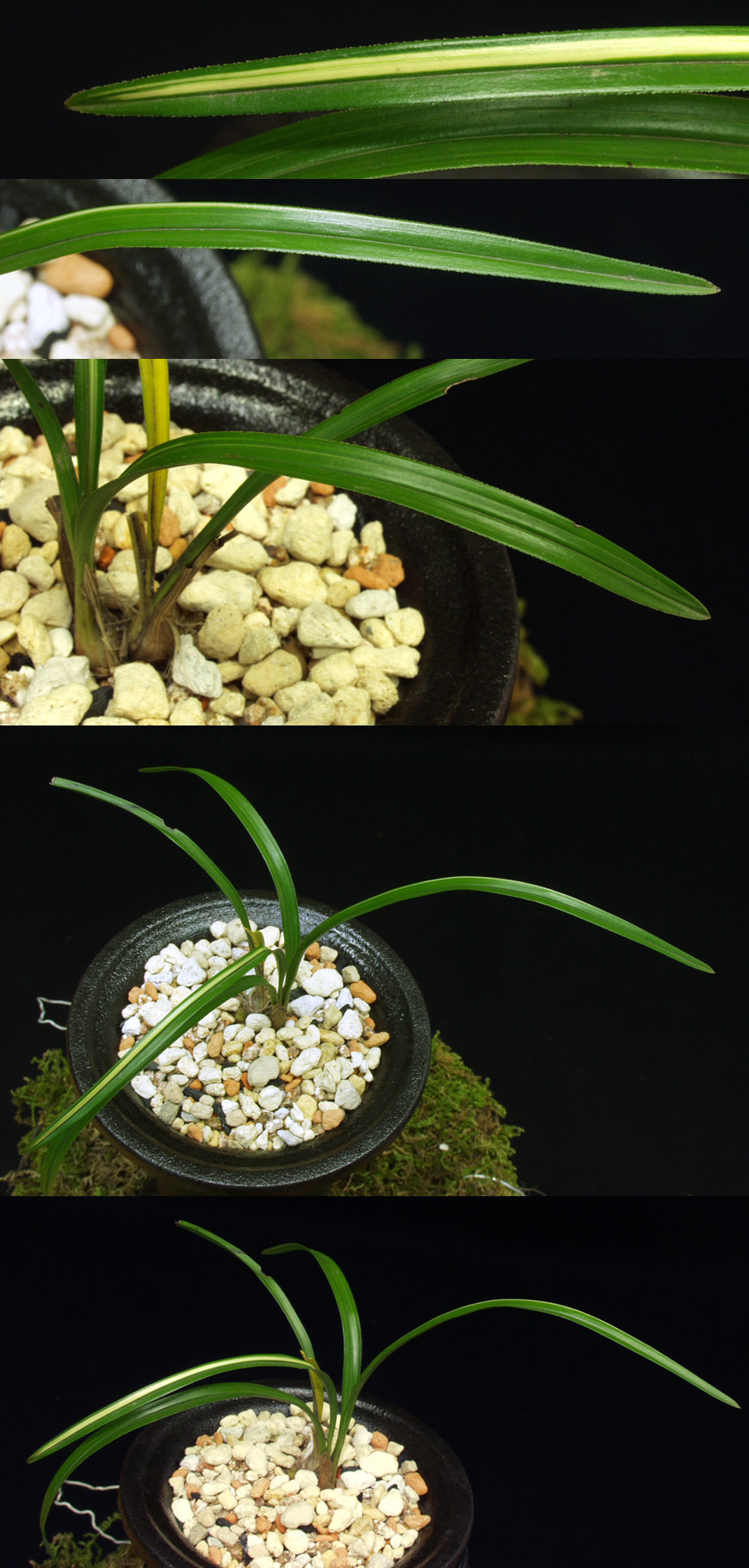 ������ ū������ �� �� �ֽ��ϴ�.