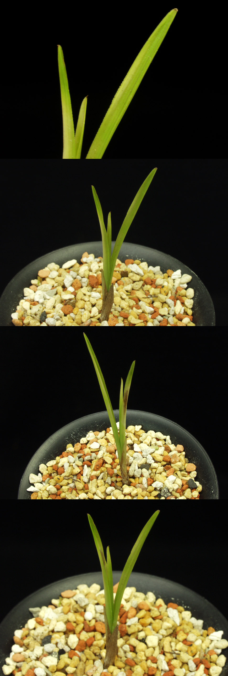 ������ ū������ �� �� �ֽ��ϴ�.