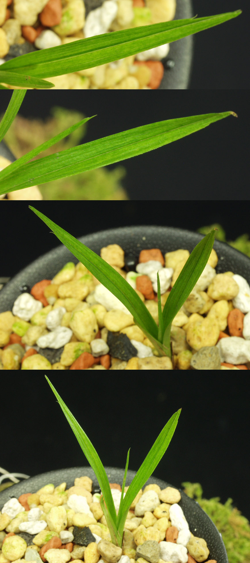 ������ ū������ �� �� �ֽ��ϴ�.