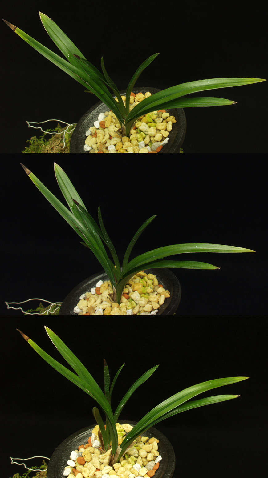 ������ ū������ �� �� �ֽ��ϴ�.