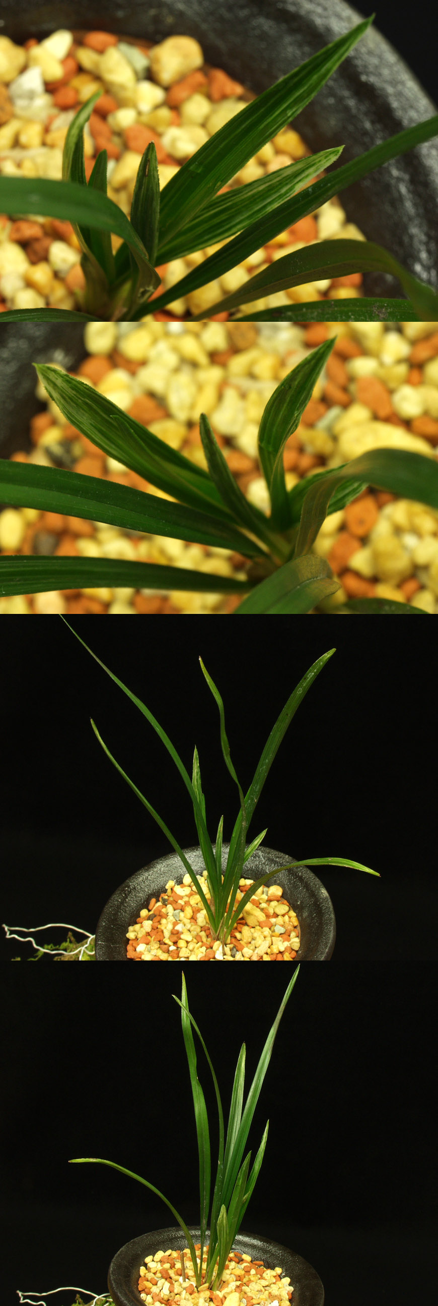 ������ ū������ �� �� �ֽ��ϴ�.