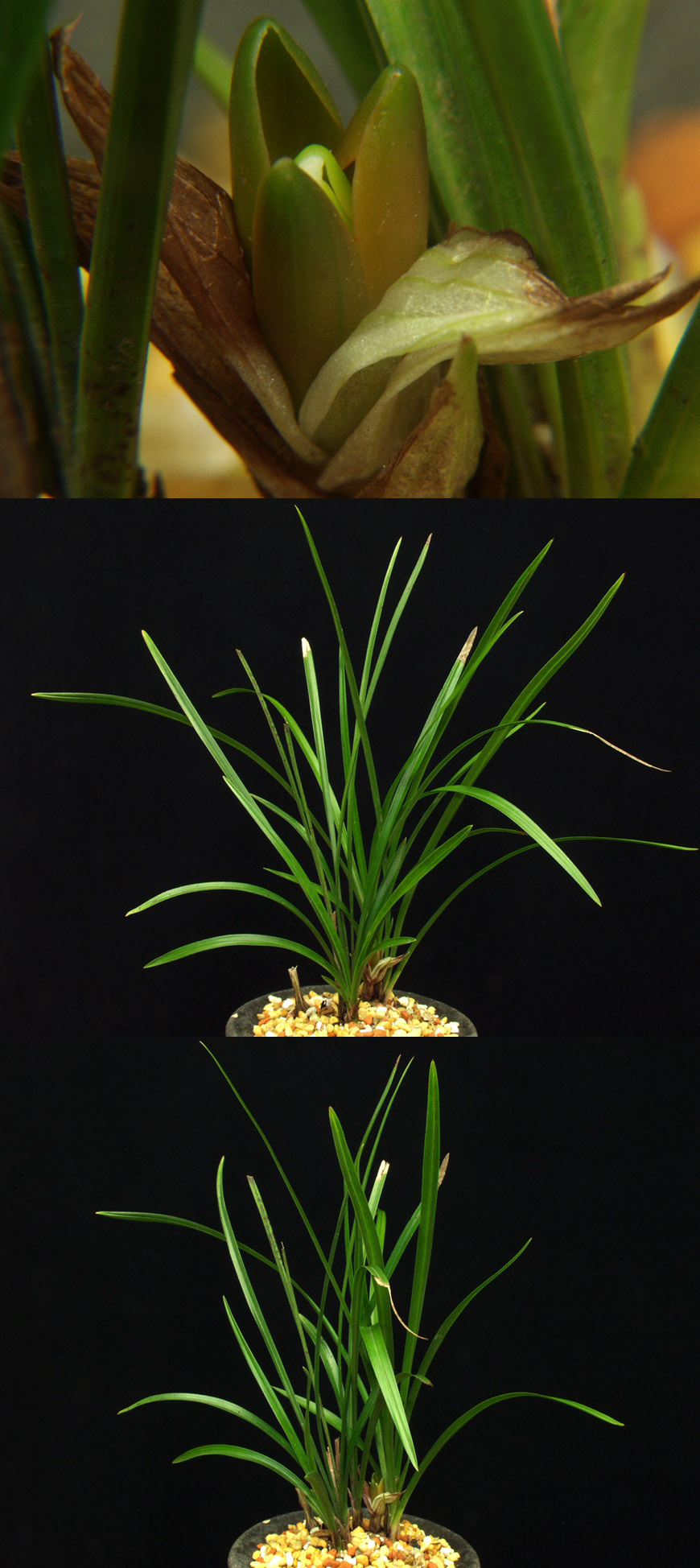 ������ ū������ �� �� �ֽ��ϴ�.