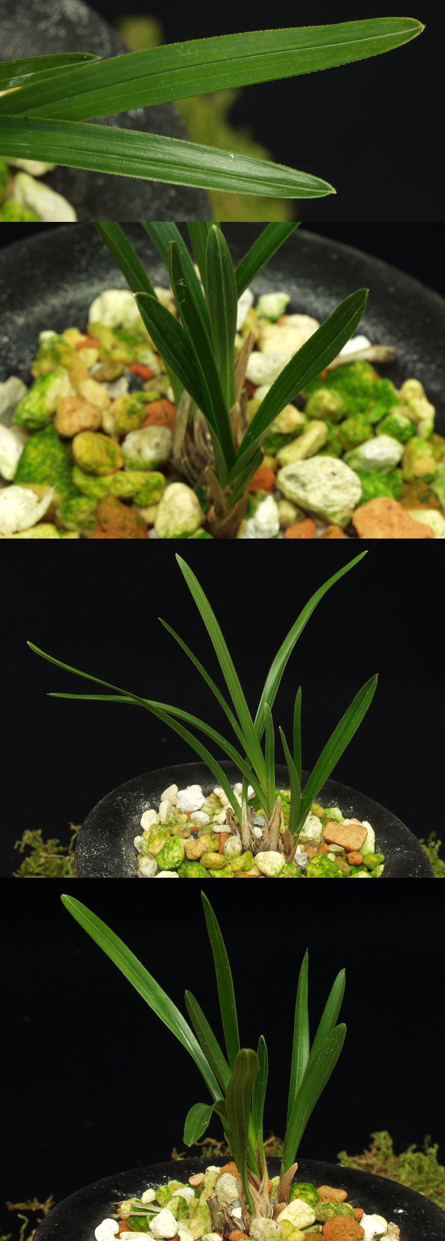 ������ ū������ �� �� �ֽ��ϴ�.