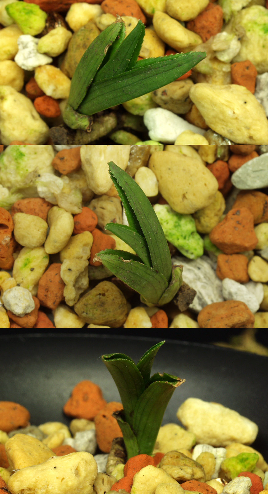 ������ ū������ �� �� �ֽ��ϴ�.