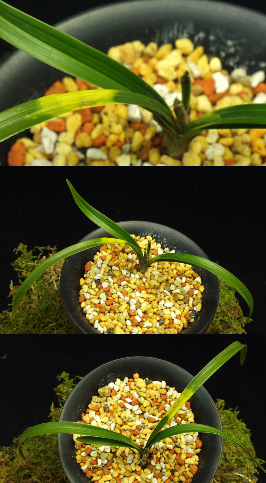 ������ ū������ �� �� �ֽ��ϴ�.