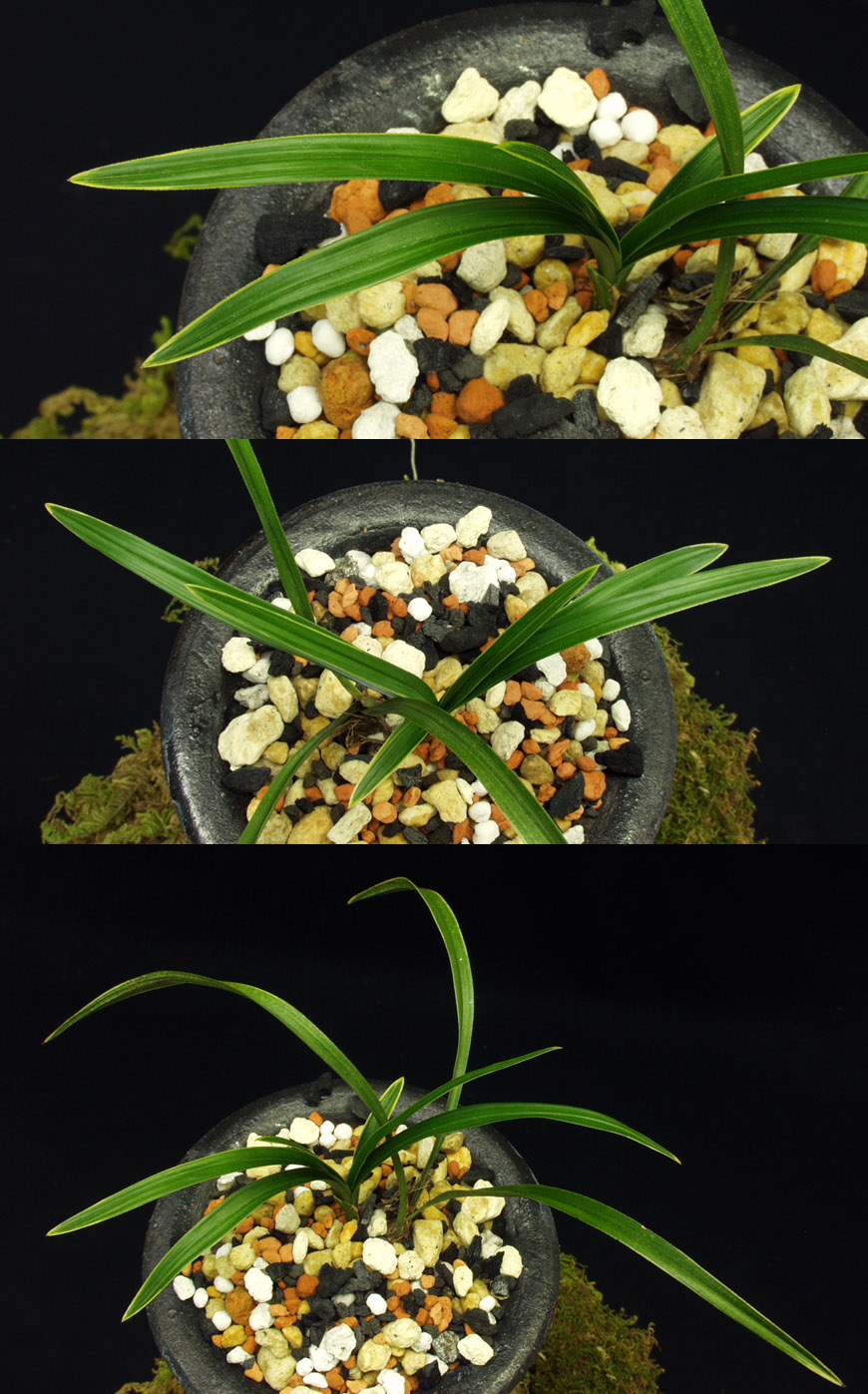 ������ ū������ �� �� �ֽ��ϴ�.