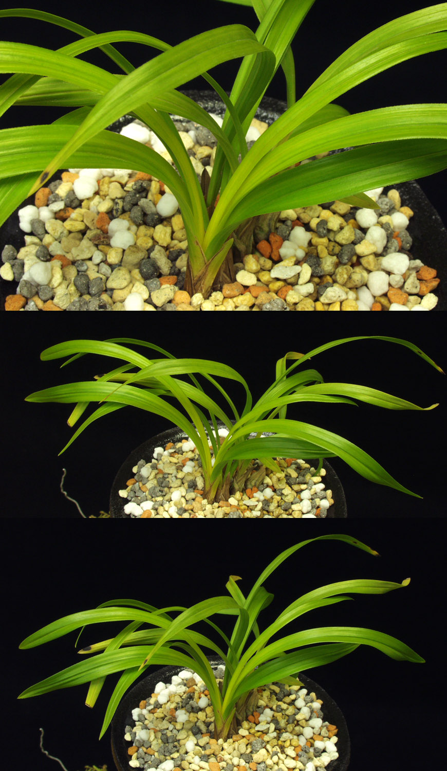 ������ ū������ �� �� �ֽ��ϴ�.