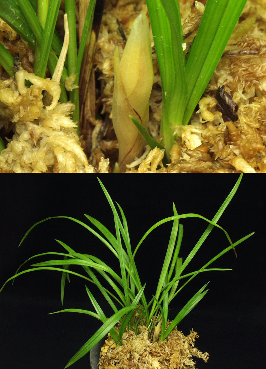 ������ ū������ �� �� �ֽ��ϴ�.