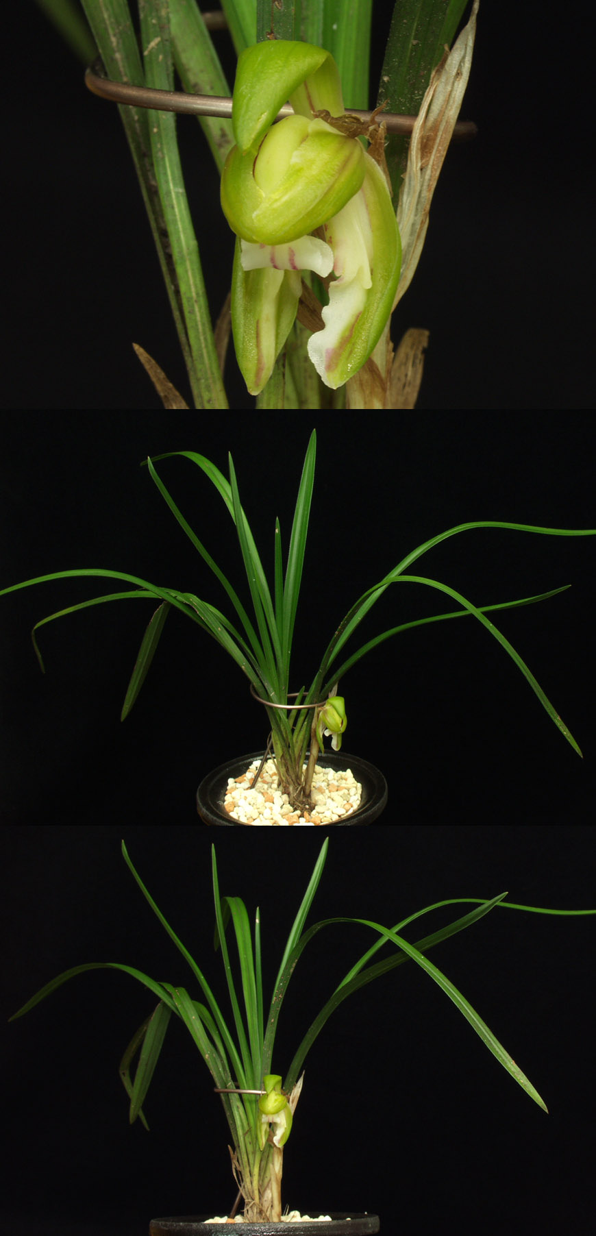 ������ ū������ �� �� �ֽ��ϴ�.