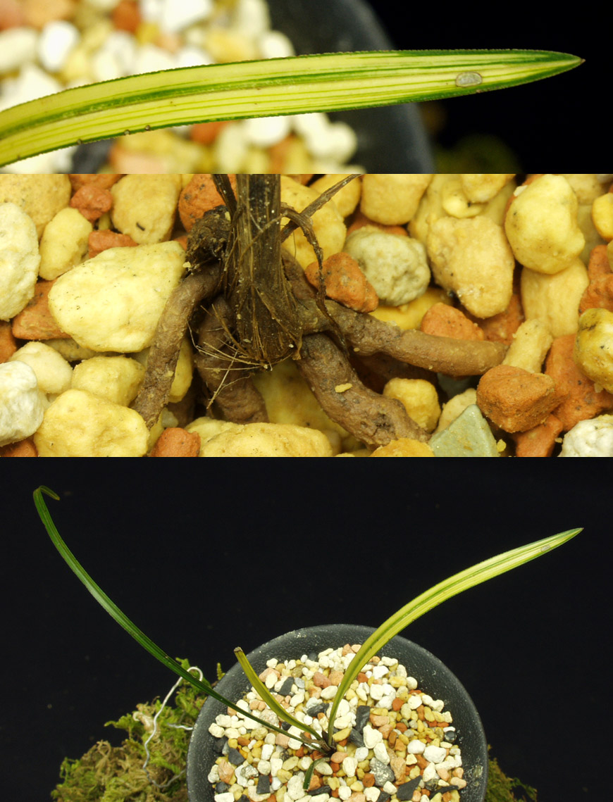 ������ ū������ �� �� �ֽ��ϴ�.