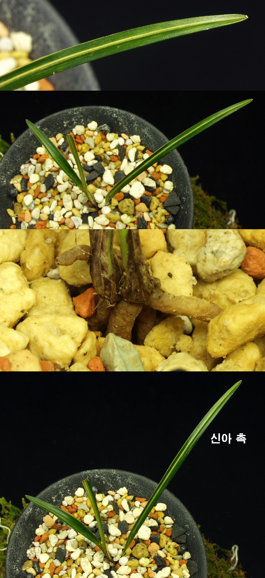 ������ ū������ �� �� �ֽ��ϴ�.