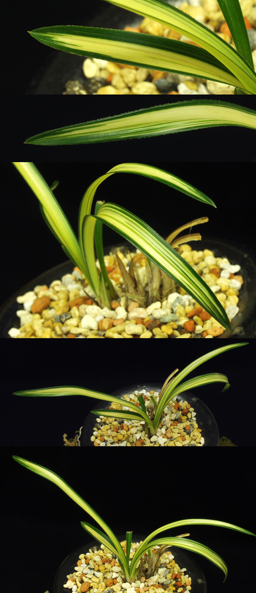 ������ ū������ �� �� �ֽ��ϴ�.