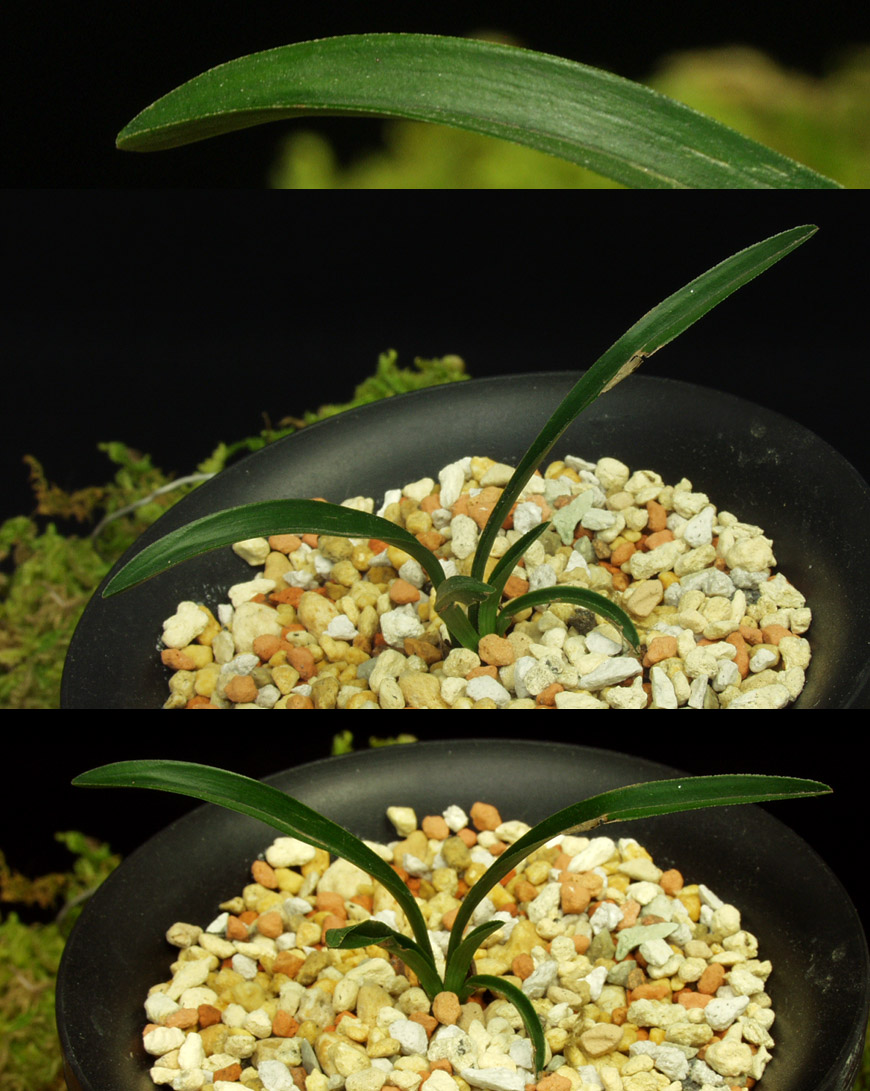 ������ ū������ �� �� �ֽ��ϴ�.