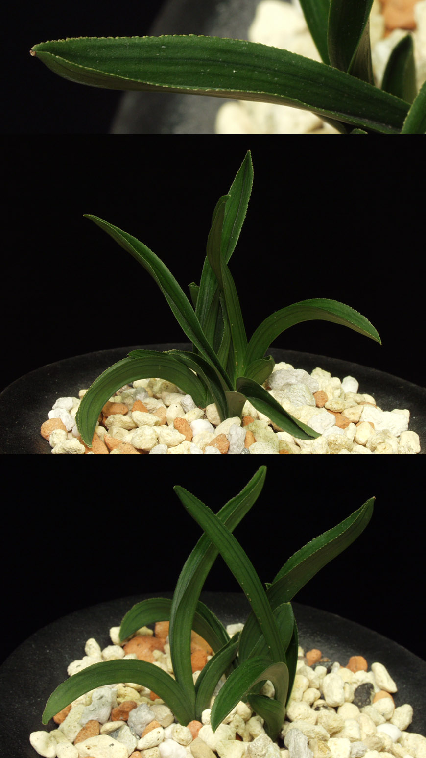 ������ ū������ �� �� �ֽ��ϴ�.