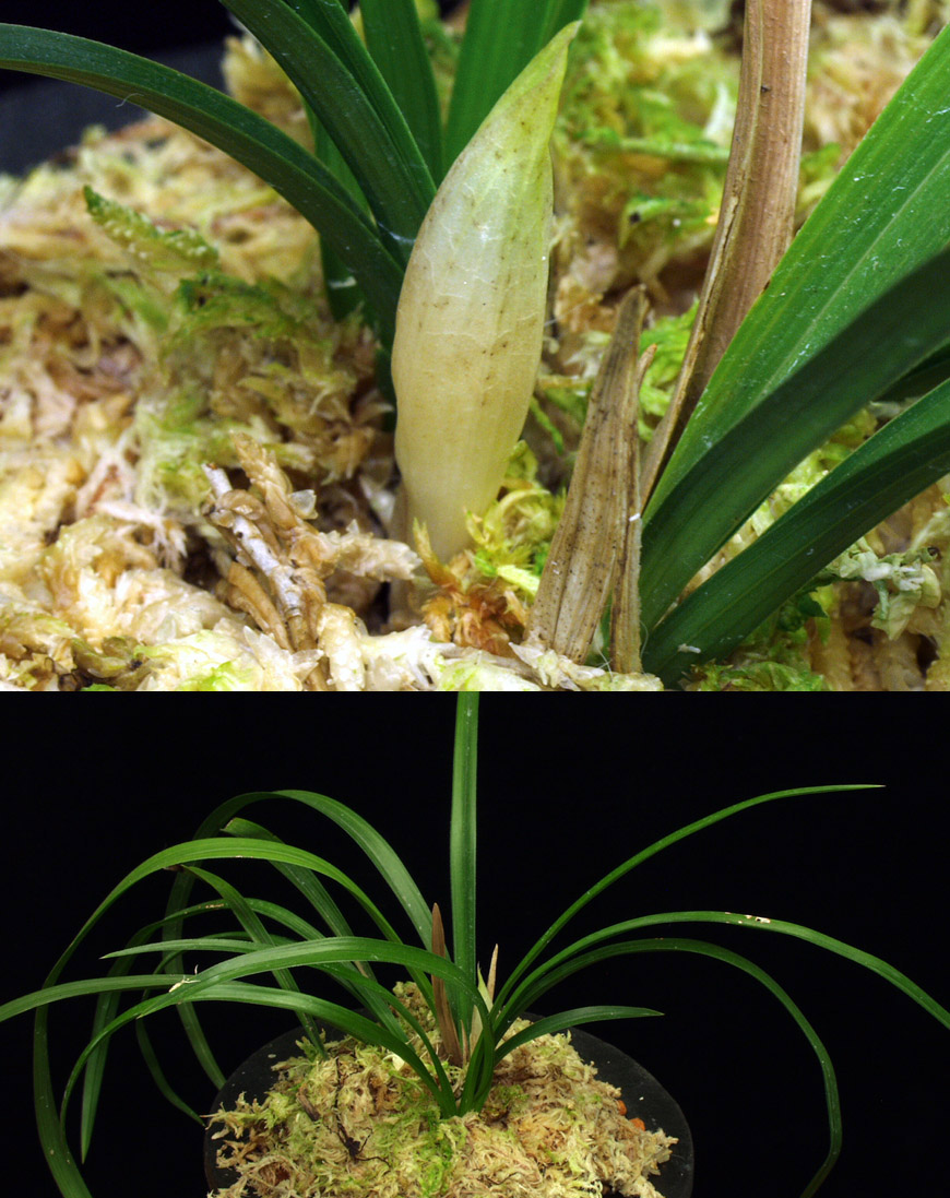 ������ ū������ �� �� �ֽ��ϴ�.