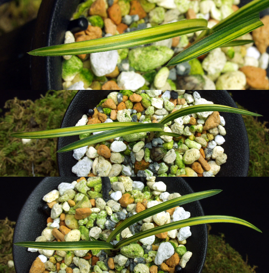 ������ ū������ �� �� �ֽ��ϴ�.