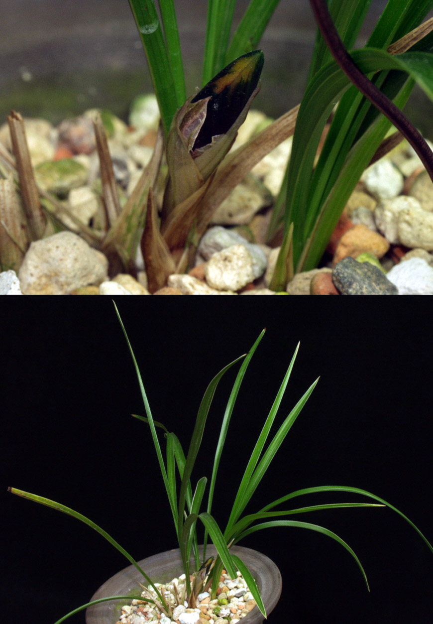 ������ ū������ �� �� �ֽ��ϴ�.