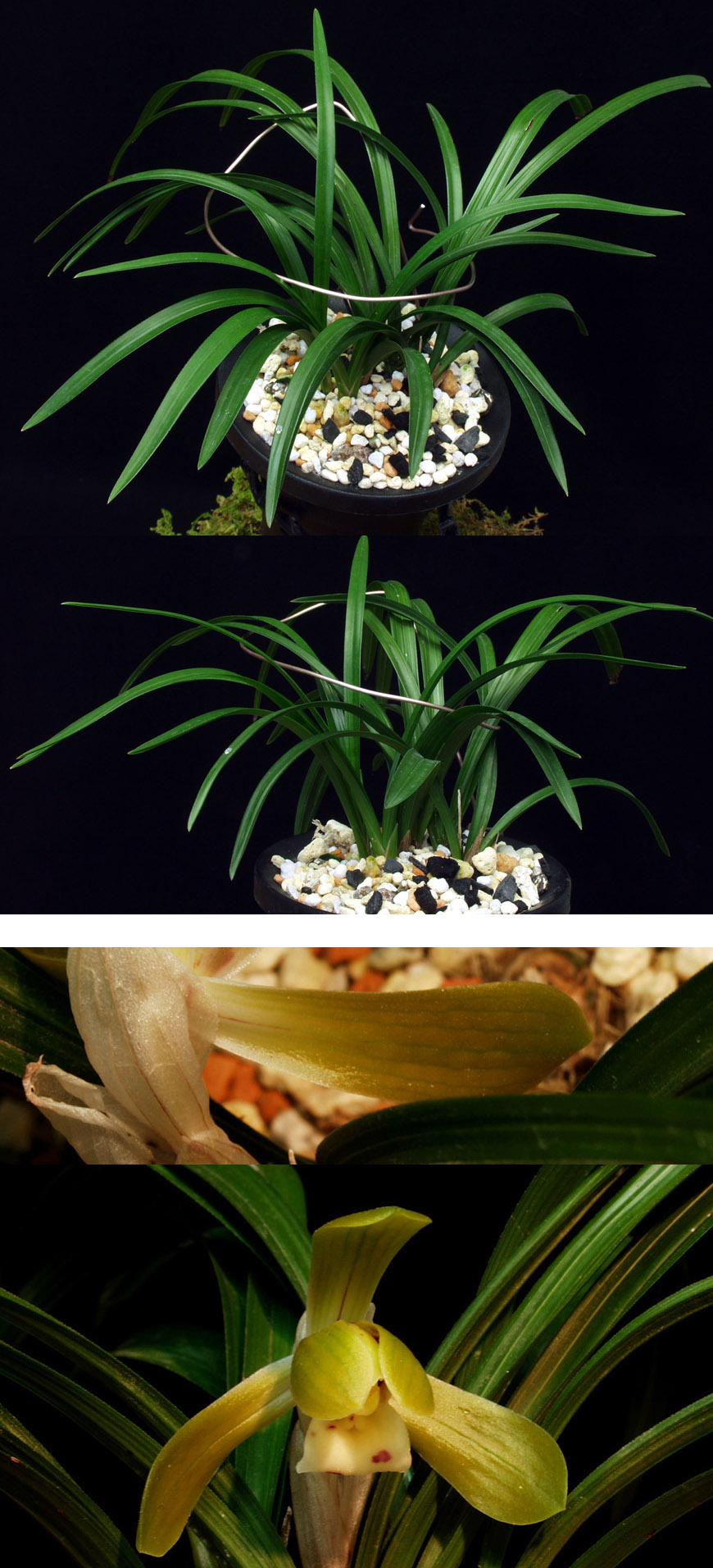 ������ ū������ �� �� �ֽ��ϴ�.