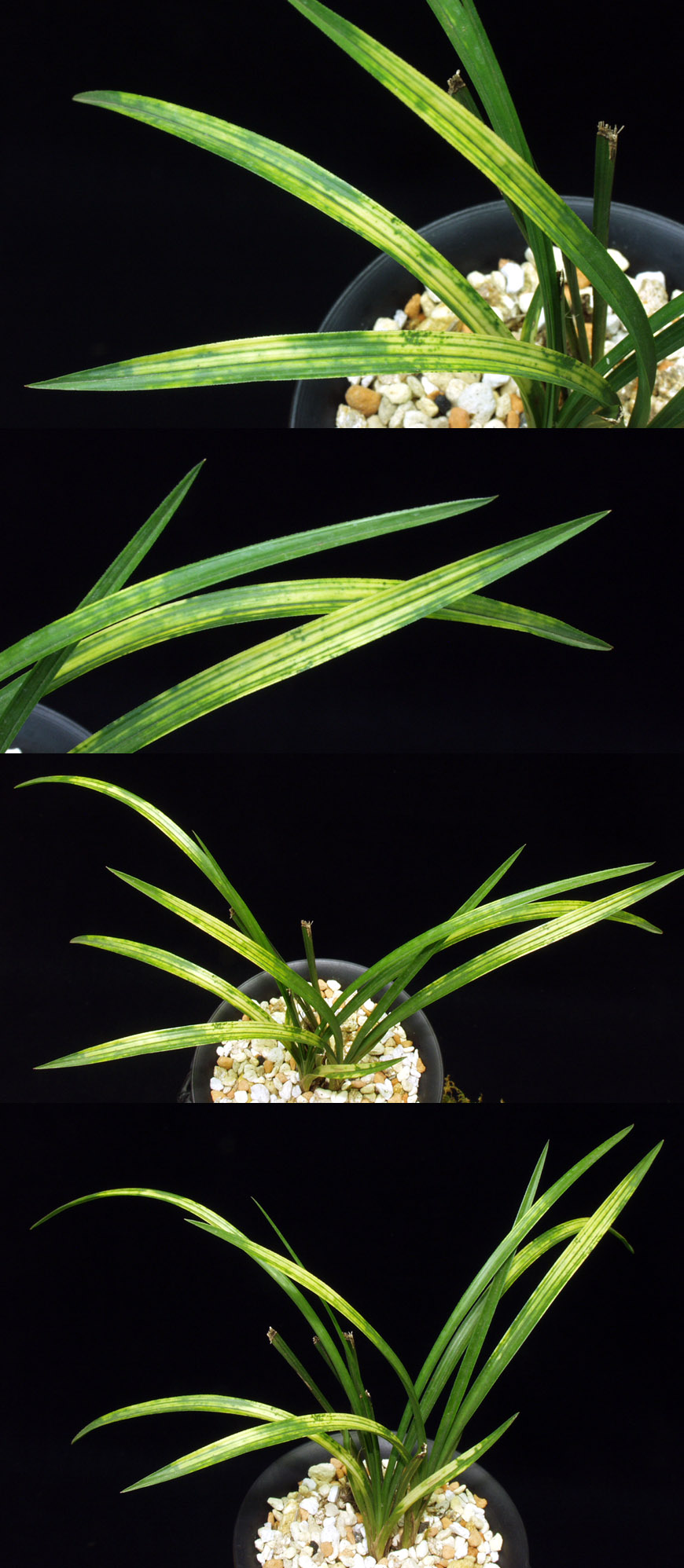 ������ ū������ �� �� �ֽ��ϴ�.