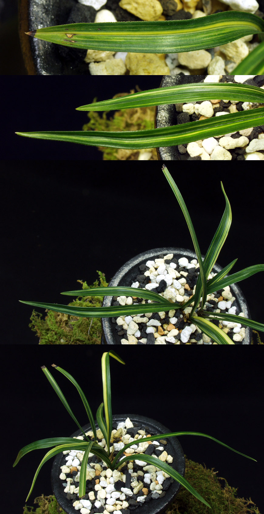 ������ ū������ �� �� �ֽ��ϴ�.