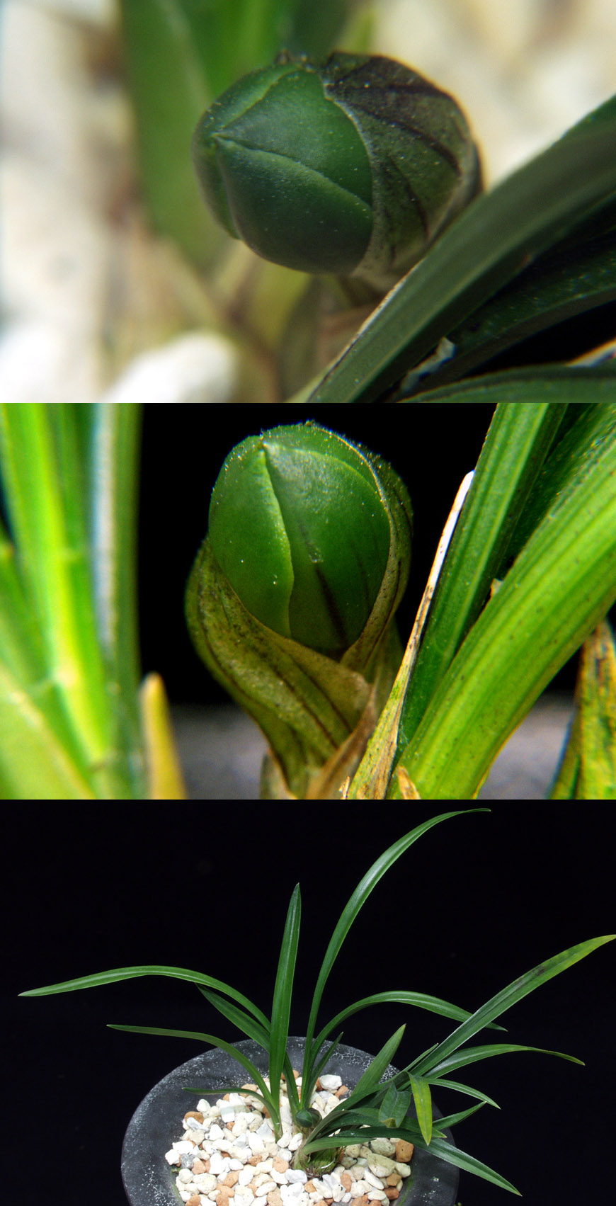 ������ ū������ �� �� �ֽ��ϴ�.