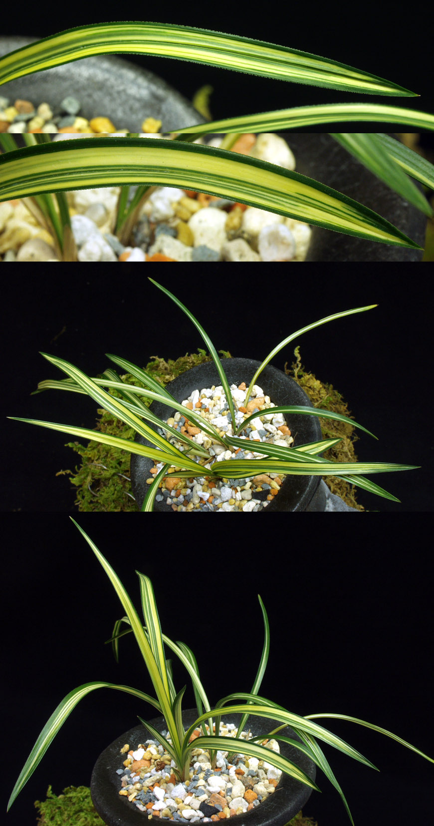 ������ ū������ �� �� �ֽ��ϴ�.