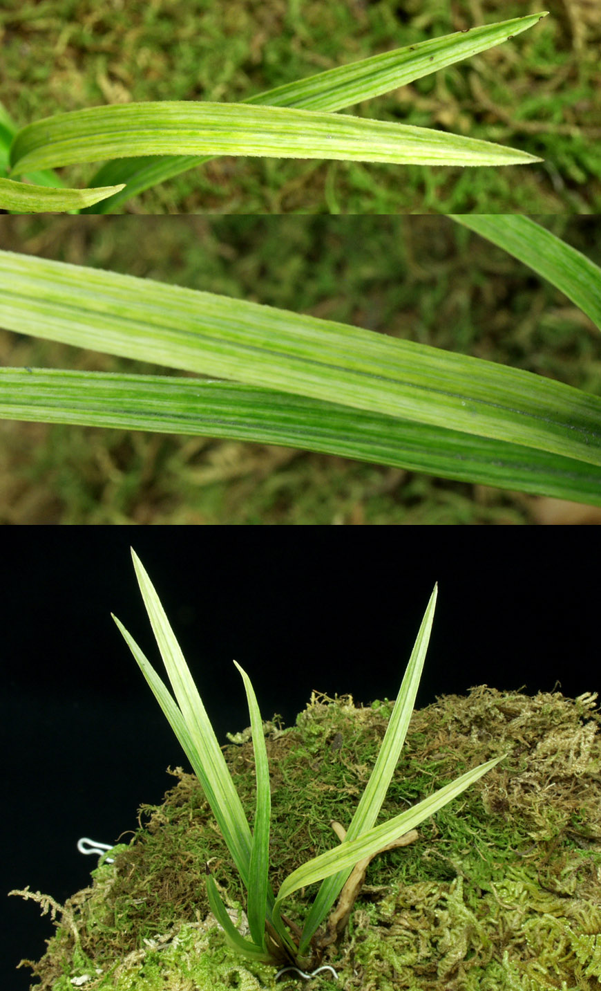 ������ ū������ �� �� �ֽ��ϴ�.