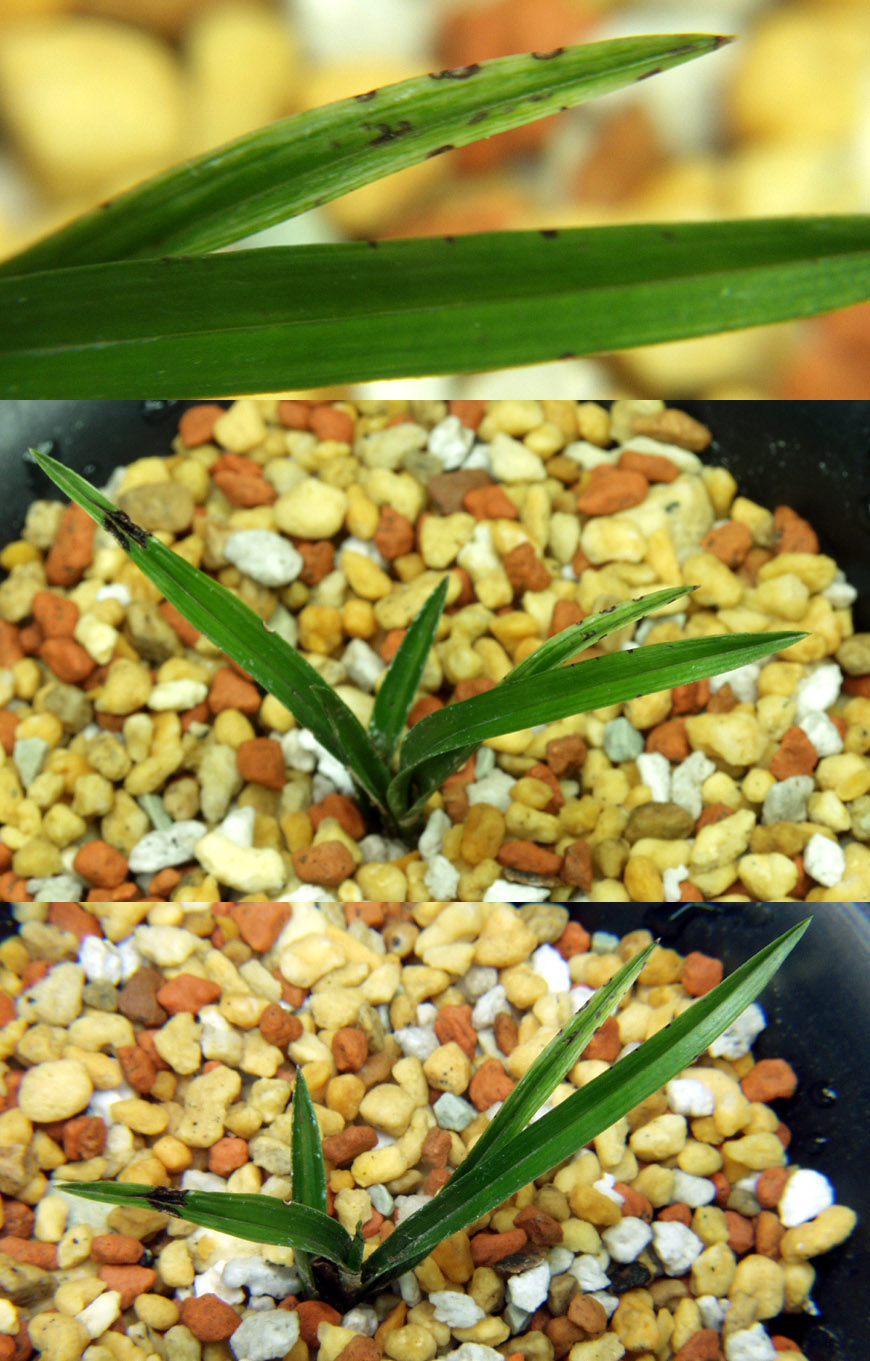 ������ ū������ �� �� �ֽ��ϴ�.