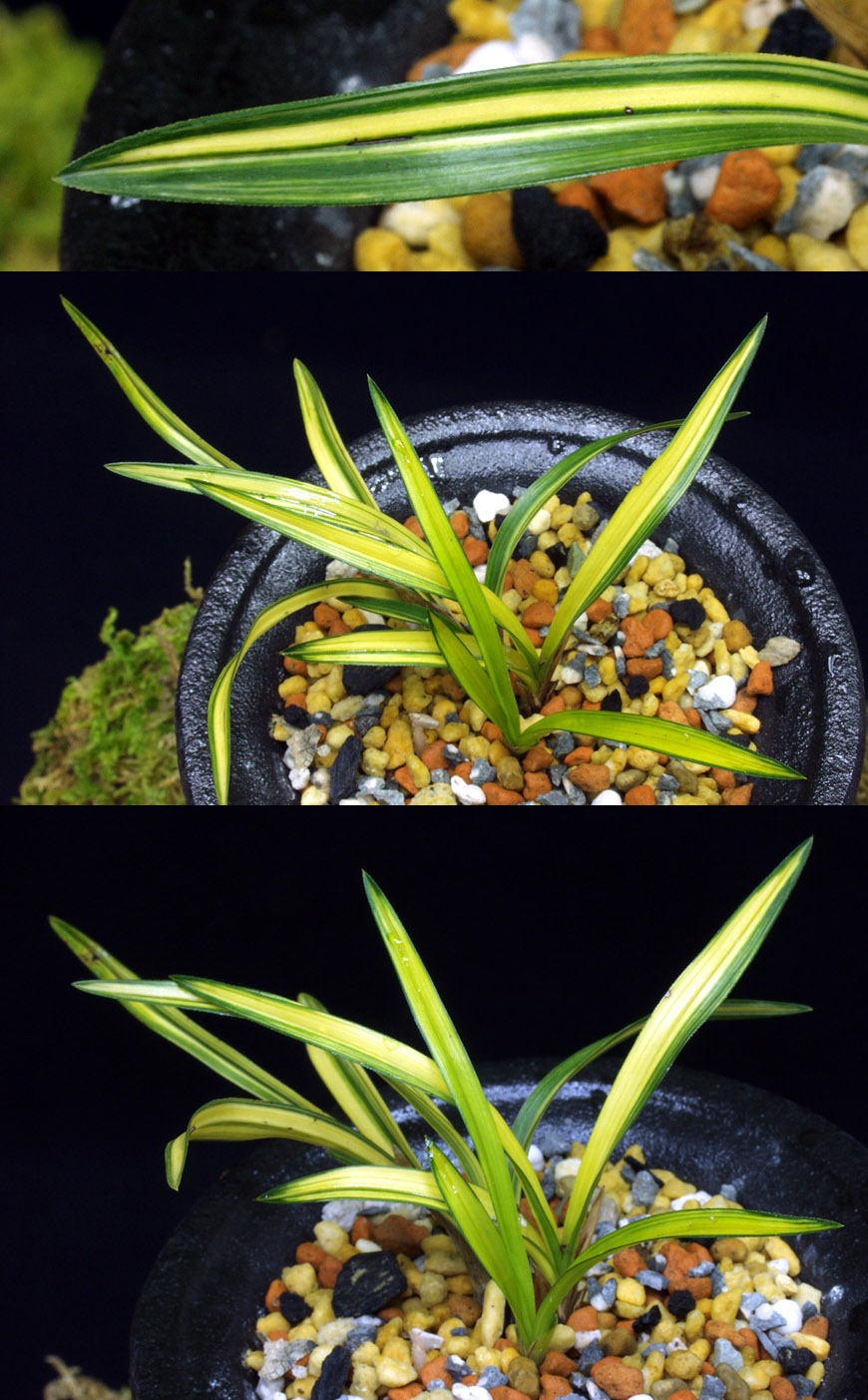 ������ ū������ �� �� �ֽ��ϴ�.