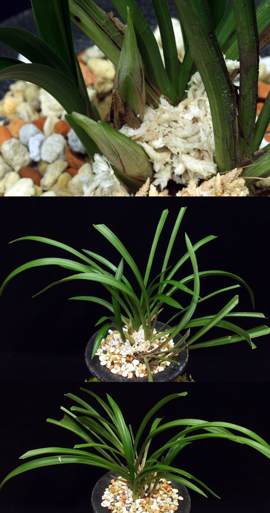 ������ ū������ �� �� �ֽ��ϴ�.