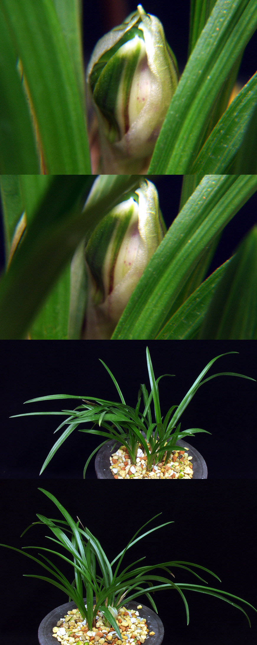 ������ ū������ �� �� �ֽ��ϴ�.