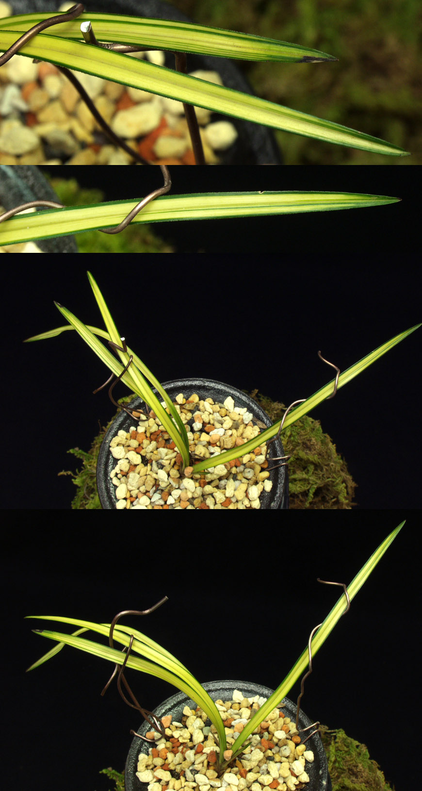 ������ ū������ �� �� �ֽ��ϴ�.