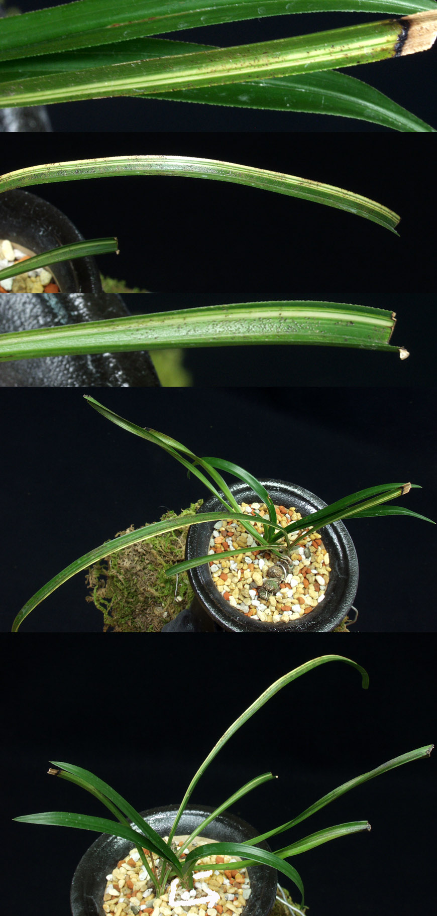 ������ ū������ �� �� �ֽ��ϴ�.