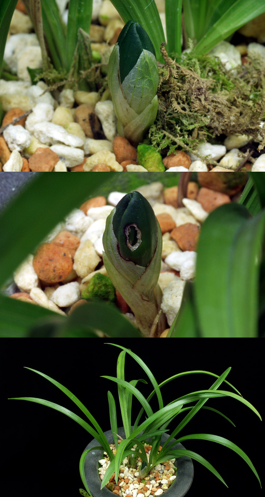 ������ ū������ �� �� �ֽ��ϴ�.