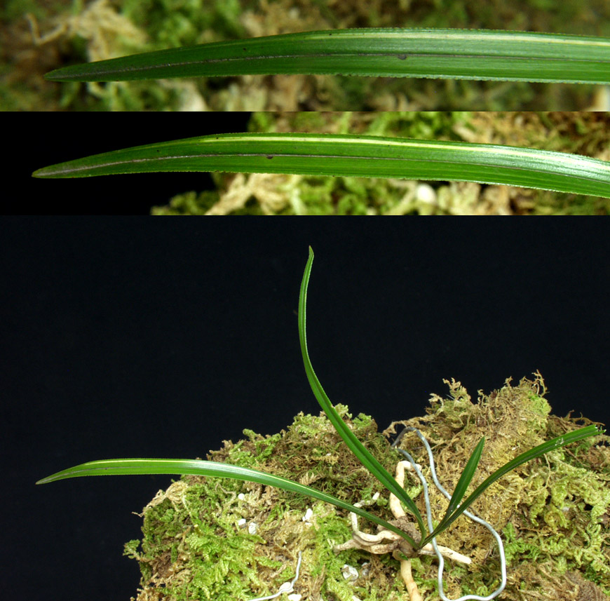 ������ ū������ �� �� �ֽ��ϴ�.