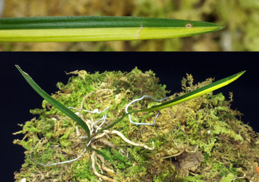 ������ ū������ �� �� �ֽ��ϴ�.