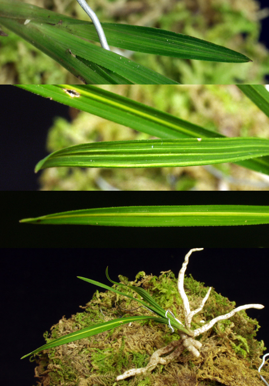 ������ ū������ �� �� �ֽ��ϴ�.