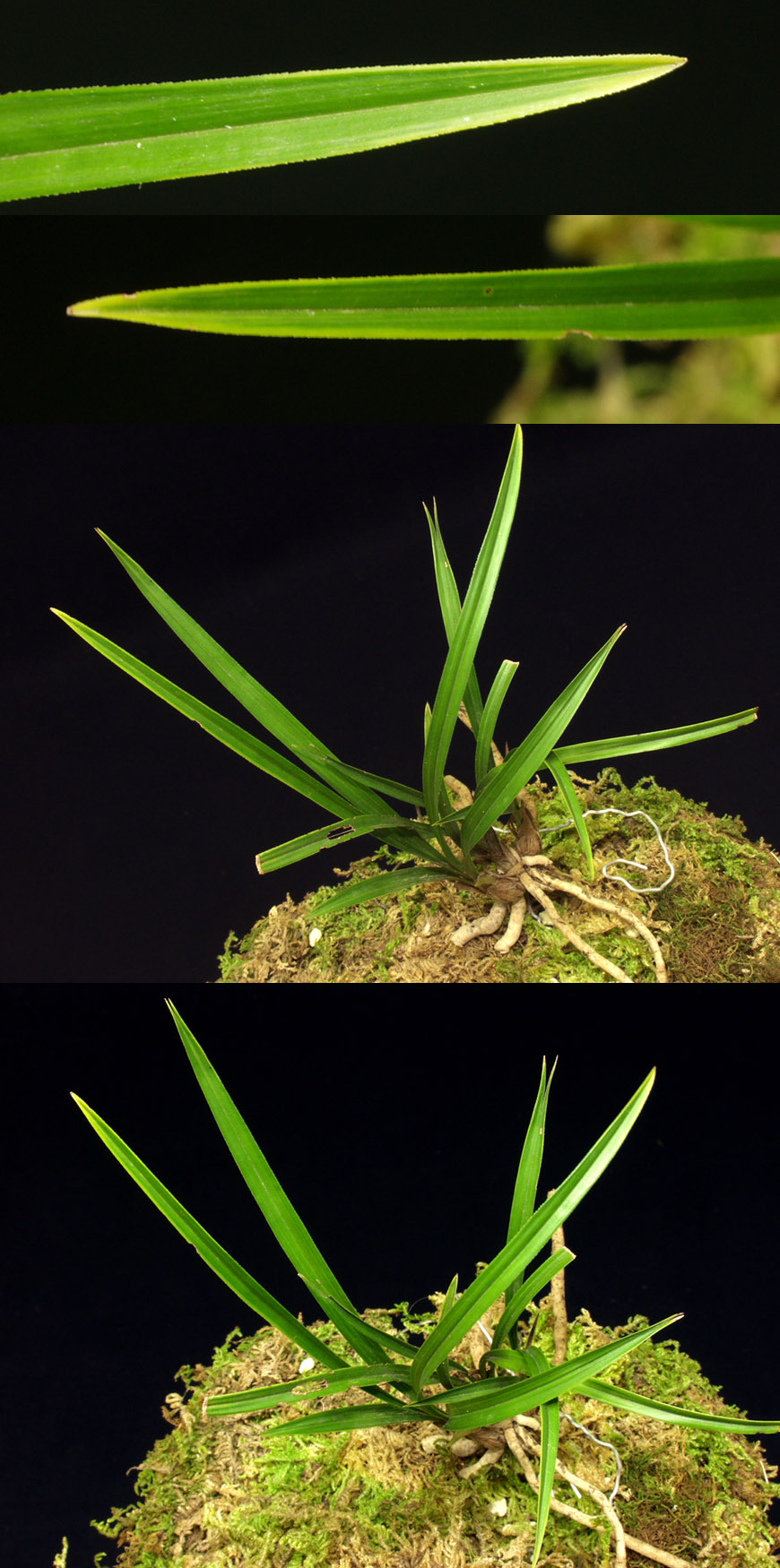 ������ ū������ �� �� �ֽ��ϴ�.