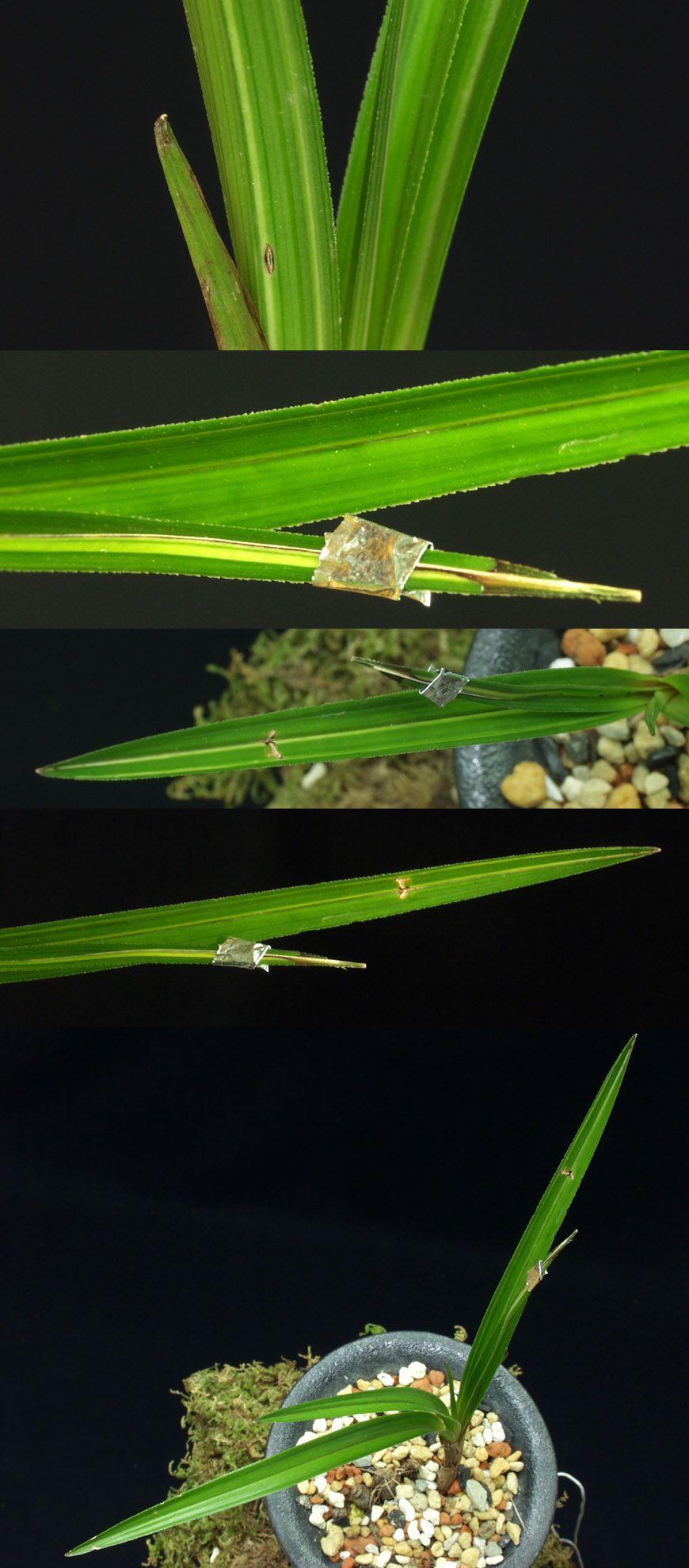 ������ ū������ �� �� �ֽ��ϴ�.