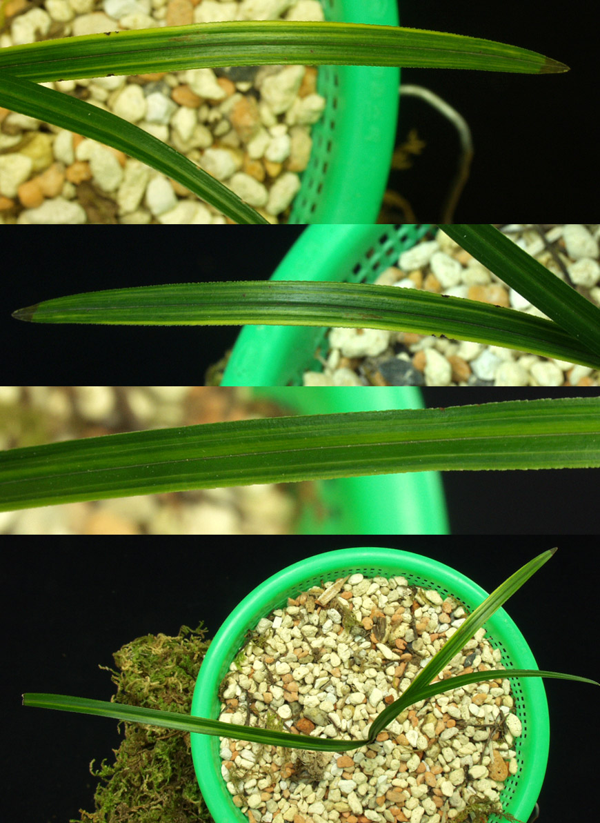 ������ ū������ �� �� �ֽ��ϴ�.