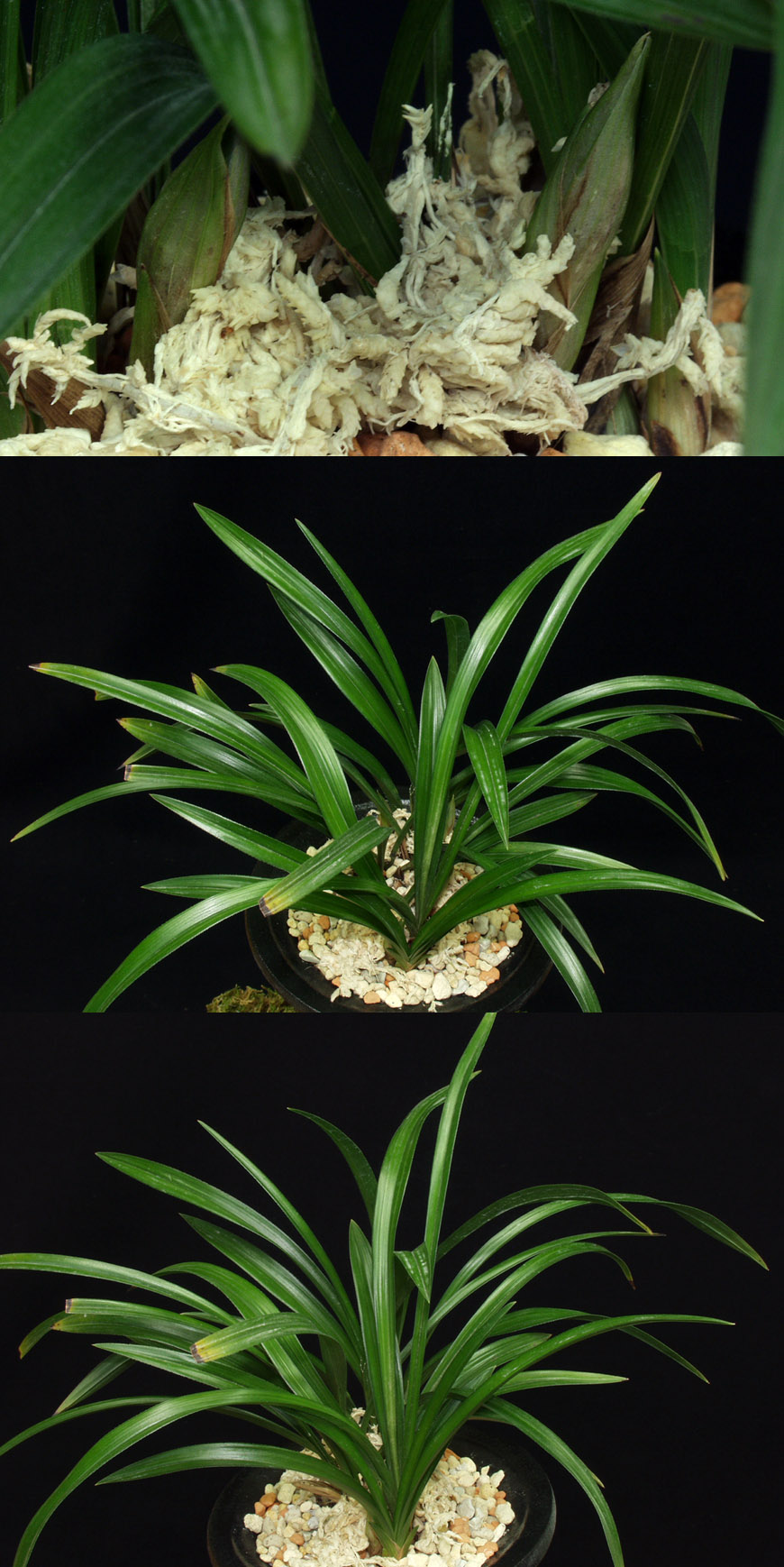 ������ ū������ �� �� �ֽ��ϴ�.