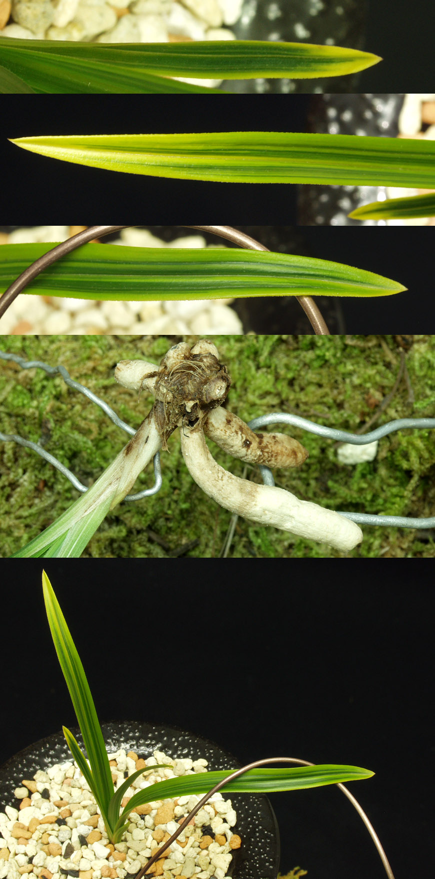 ������ ū������ �� �� �ֽ��ϴ�.