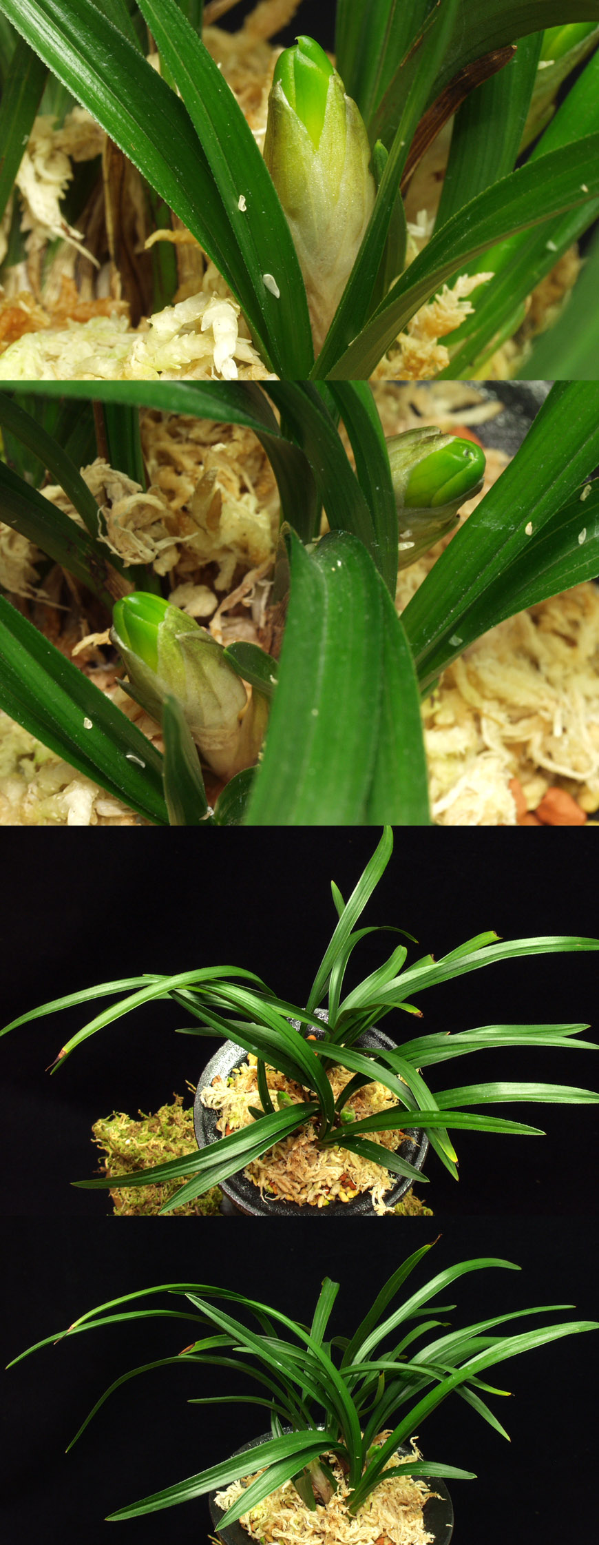 ������ ū������ �� �� �ֽ��ϴ�.