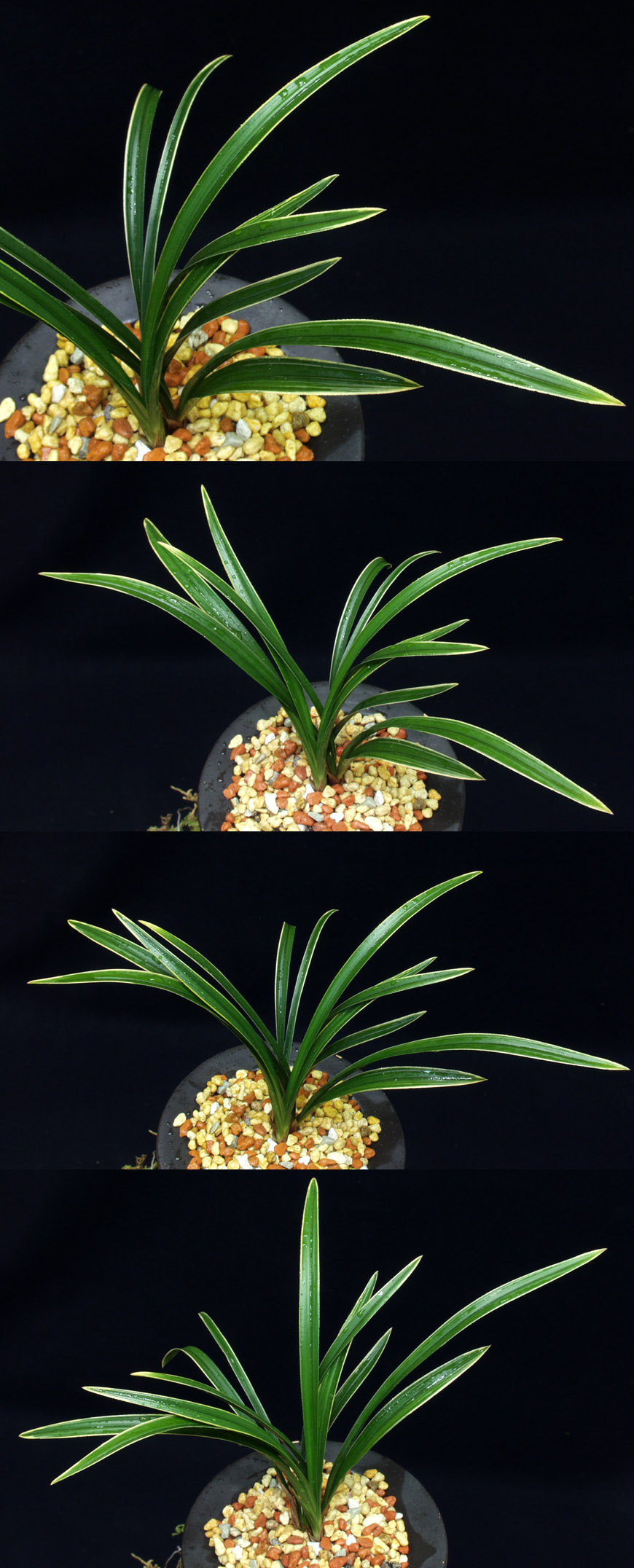 ������ ū������ �� �� �ֽ��ϴ�.