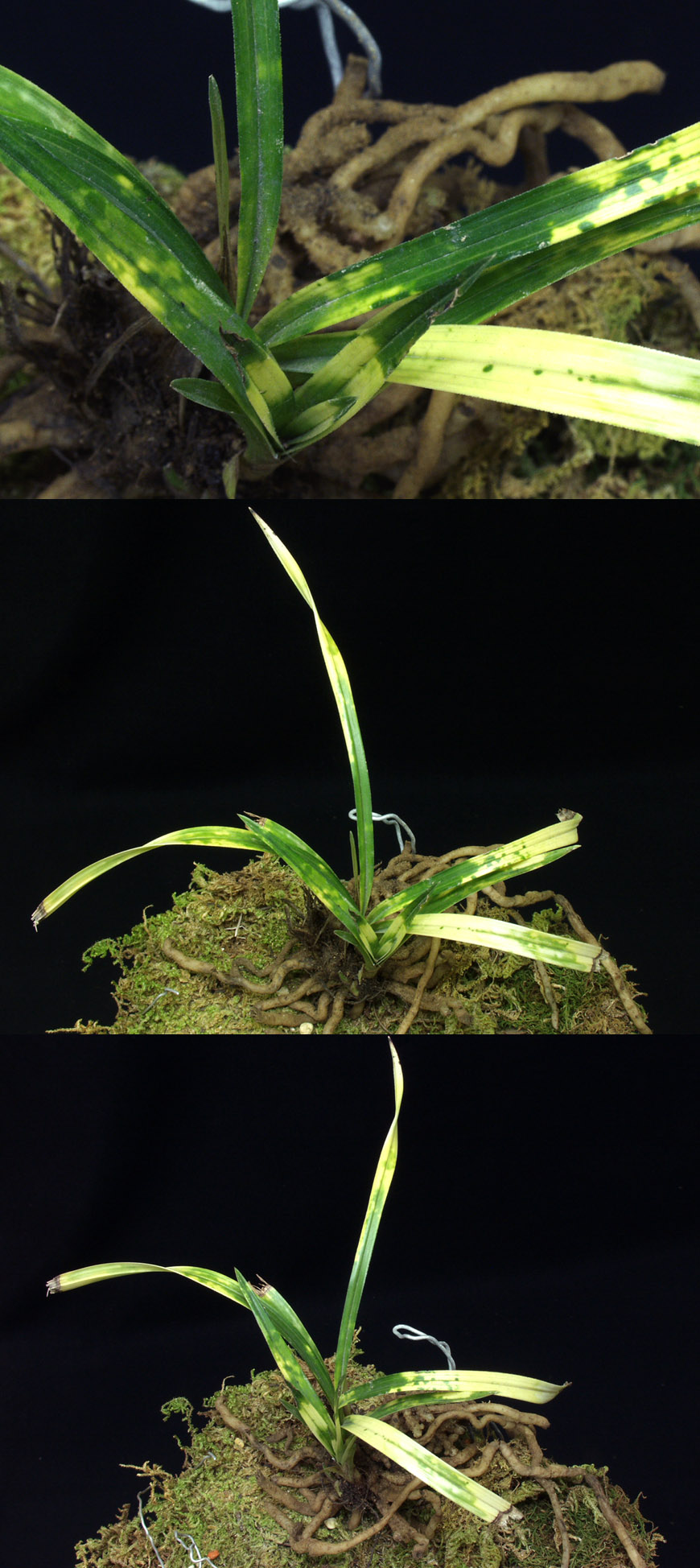 ������ ū������ �� �� �ֽ��ϴ�.