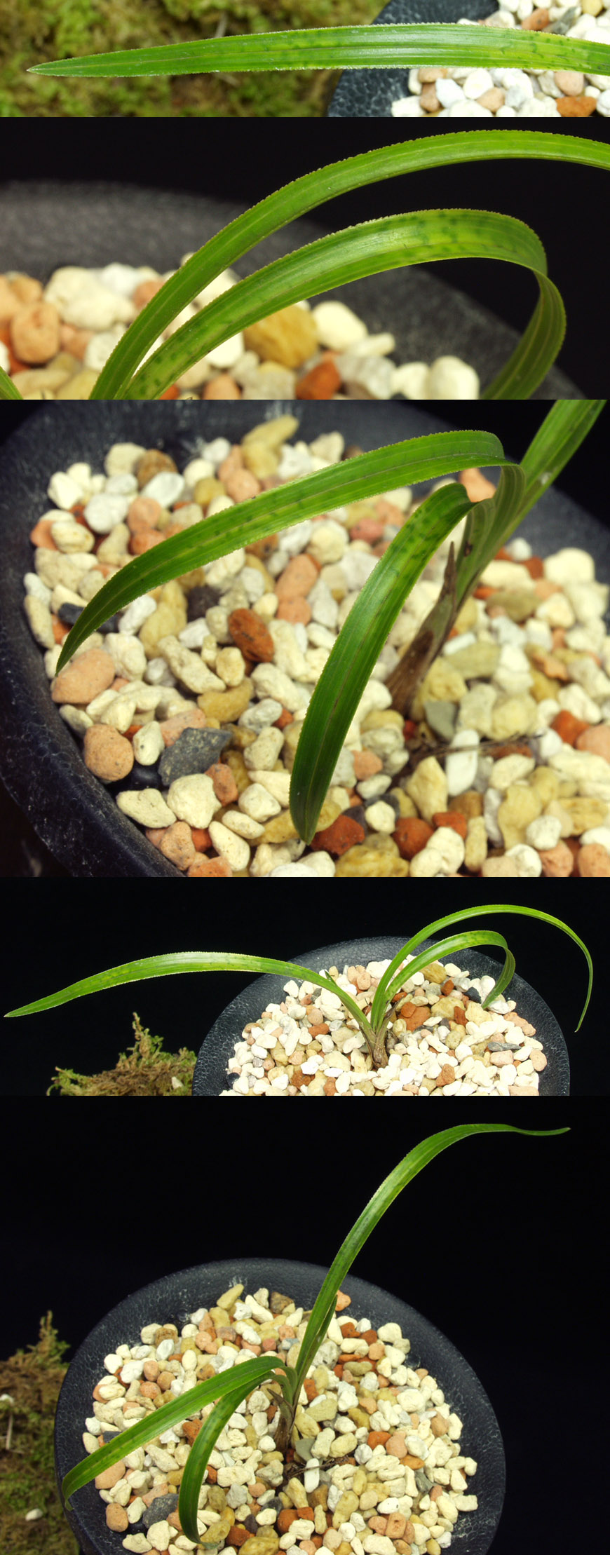 ������ ū������ �� �� �ֽ��ϴ�.